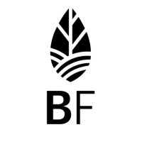 Boston Flourish logo - Similar company to Traffic By Intent