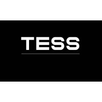 T.ESS GmbH logo - Similar company to Tactiscan