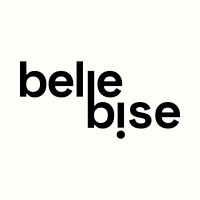 Belle Bise logo - Similar company to Avalanche Paris