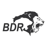 BDR Pharmaceuticals logo - Similar company to Bdr Group