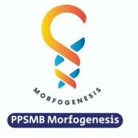 PPSMB Morfogenesis logo - Similar company to Smansa Outstanding