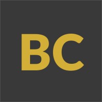 Bosman Consultants logo - Similar company to Bokesi