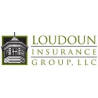 Loudoun Insurance Group logo - Similar company to Aco Insurance
