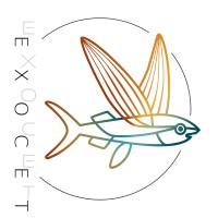 Exocet Polytechnique Montréal logo - Similar company to Polystar