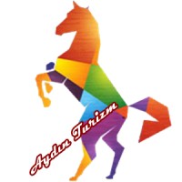 Aydın Turizm logo - Similar company to Aydin Pulluk