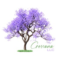 Cressana, LLC logo - Similar company to Vertical Launch