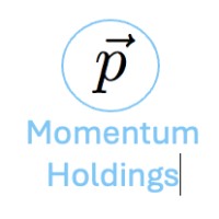 Momentum Holdings logo - Similar company to Hazard Talent Management, Llc
