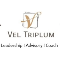 Vel Triplum Limited logo - Similar company to Hostify