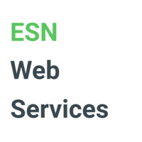 ESN Web Services logo - Similar company to Link&Develop