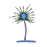 Meiosis Publications logo - Similar company to Trainingfirst