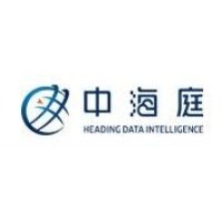 武汉中海庭数据技术有限公司