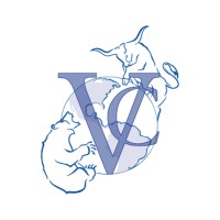 Villagomez Capital logo - Similar company to Studio9