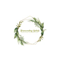 Transcending Beliefs logo - Similar company to Hyperskill Academy