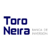 Toro Neira Banca de Inversión logo - Similar company to Dsf Advisors Llc