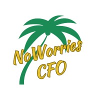 No Worries CFO logo - Similar company to Bluebird Partners
