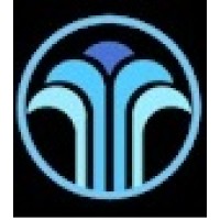 Digital Fountain Consulting Inc logo - Similar company to The Fin Ai