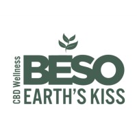 BESO Wellness logo - Similar company to Sunway Wellness