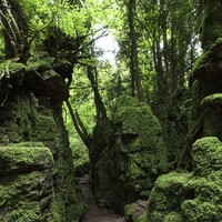 Puzzlewood logo - Similar company to Tumble Tots (Uk) Ltd