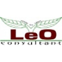 Leo Consultant logo - Similar company to Eminence Hr Services Private Limited (Erstwhile Eminence  Talent Solutions
