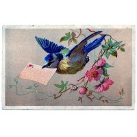 A Bluebird Note