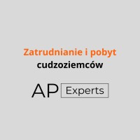 AP Experts ▪ Zatrudnianie i pobyt cudzoziemców logo - Similar company to Dynamic Group Sp. Z O.O.