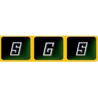 SGS Support Services Company Ltd logo - Similar company to Sales Ninja