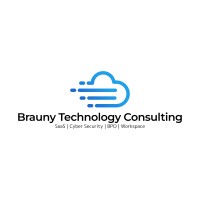 Brauny Technology Consulting logo - Similar company to Pro Cloud Saas