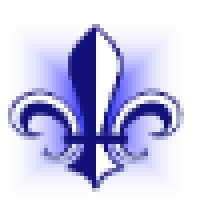 THE FIRM CONSULTANTS logo - Similar company to Dit Mea