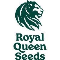 Royal Queen Seeds Thailand logo - Similar company to Synbiotic Distribution Gmbh