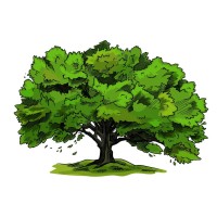Quercus Solutions logo - Similar company to Disrupthr Romania