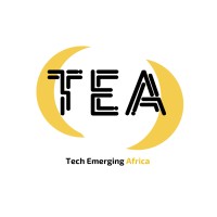 Tech Emerging Africa logo - Similar company to Geomatech Sarl