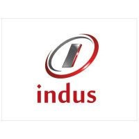 Indus Global Associates logo - Similar company to Being Humanitarian