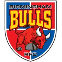 Birmingham Bulls RFC logo - Similar company to Edge Digital Group
