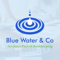 Blue Water Accounts logo - Similar company to Faversham Solutions