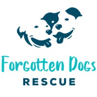 FORGOTTEN DOGS RESCUE logo - Similar company to Perspectives Consulting Group, Inc.