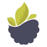 Shatoot Software logo - Similar company to Mahsoft