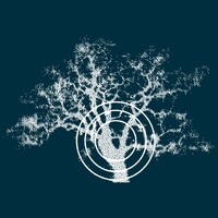 Rolling Oaks Radiology logo - Similar company to Casa Dorinda