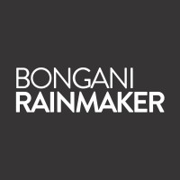 Bongani Rainmaker Logistics logo - Similar company to Snapplify