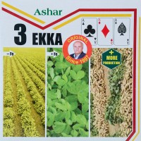 Ashar Chemicals Pvt. Ltd. logo - Similar company to Gujarat Jobs
