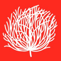 Tumbleweed News