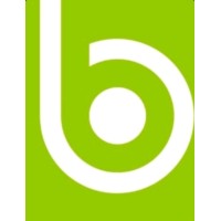 BTMEXICO logo - Similar company to Profesionalización De Empresas Familiares México