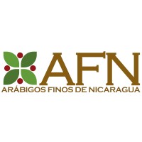 Arábigos Finos De Nicaragua