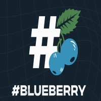 Hashtag Blueberry logo - Similar company to Weewin Media