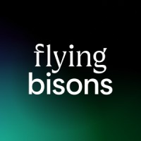 Flying Bisons logo - Similar company to Visux.Net - Product Design Studio