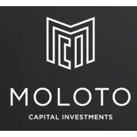 Moloto Capital Investments (Pty) Limited logo - Similar company to Nitrogen Fund Managers