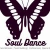 Soul Dance logo - Similar company to Imithatech Solutions