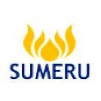 Sumeru Solutions logo - Similar company to Sumeru Inc