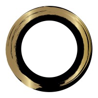 Satori Partners SARL logo - Similar company to 33 Trucs