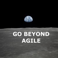 Beyond Agile LLC logo - Similar company to People Before Things, Inc.