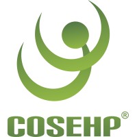 CONSULTORIA EN SALUD OCUPACIONAL, ERGONOMIA E HIGIENE (COSEHP) logo - Similar company to Avada 360